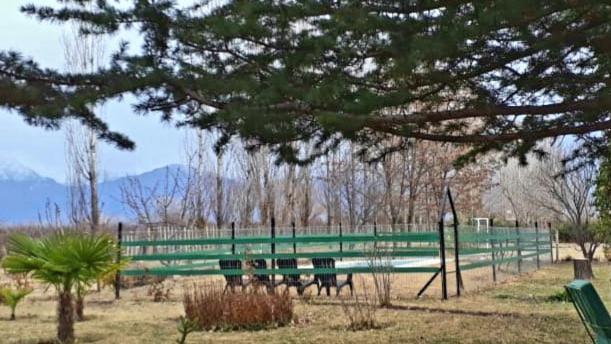 Casa Rural Entre Bodegas Y Vinedos ' El Jarillal" Pensionat La Consulta Eksteriør billede