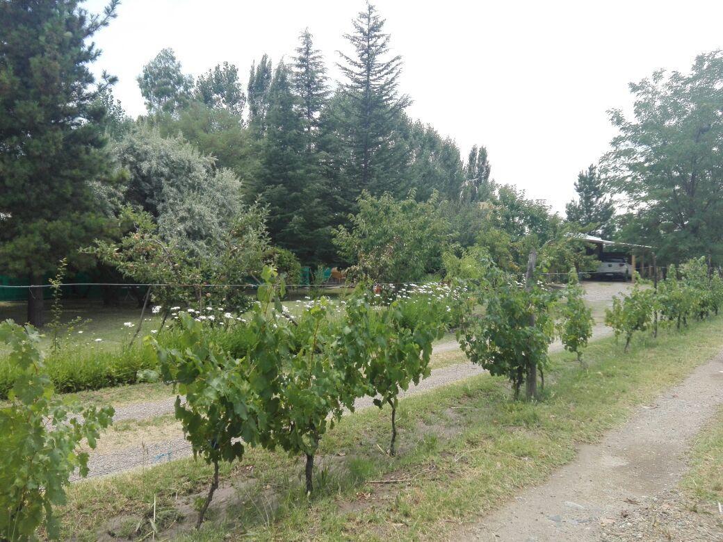 Casa Rural Entre Bodegas Y Vinedos ' El Jarillal" Pensionat La Consulta Eksteriør billede